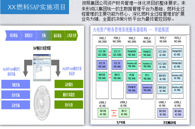 SAP實施項目